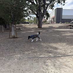 Chilpancingo Dog Park