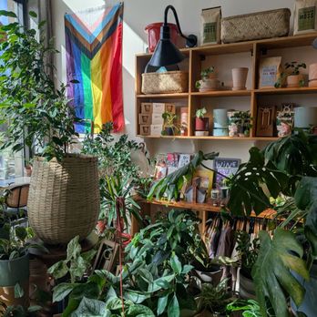 The Greenhouse Bar - Take home a plant - Coffee & Tea Near Me - Jacksonville, Florida The Greenhouse Bar - Take home a plant - Coffee & Tea Near Me - Jacksonville, Florida