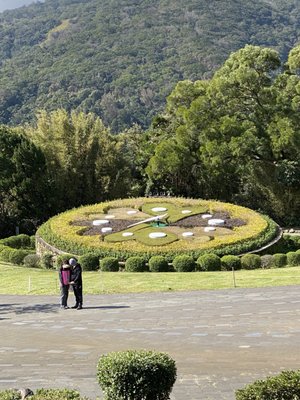 Yangmingshan National Park by null