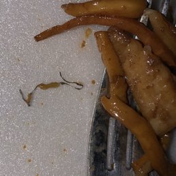 Metal shaving of some sort found in my food Metal shaving of some sort found in my food