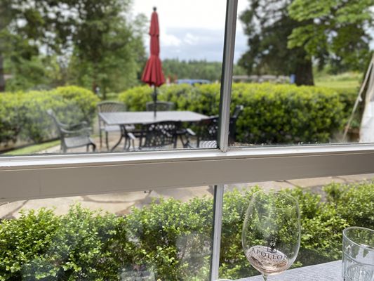 Apolloni Vineyards by null