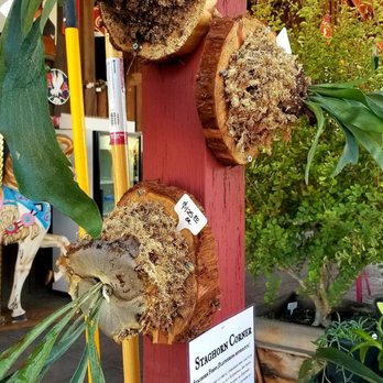 Fernwood Gardens - Nurseries & Gardening Near Me - Madera, California