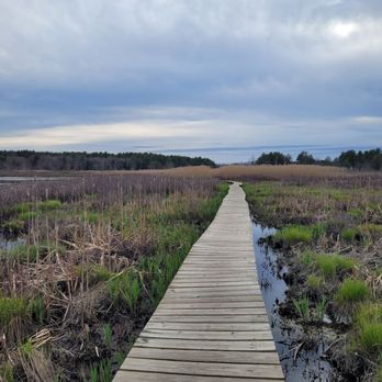 Little Pond Boardwalk Trail - Hiking Near Me Little Pond Boardwalk Trail - Hiking Near Me