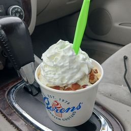 Turtle Sundae