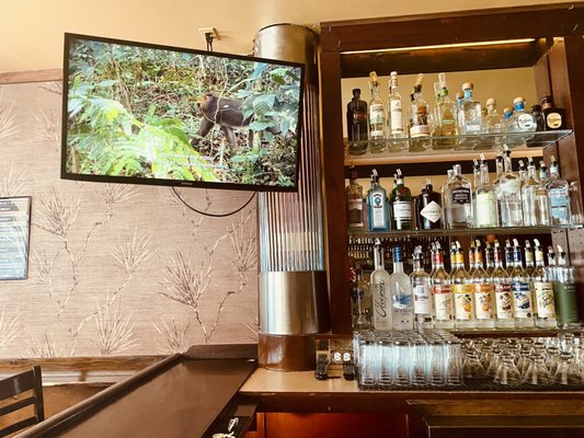 Estelle's Cafe & Lounge by null