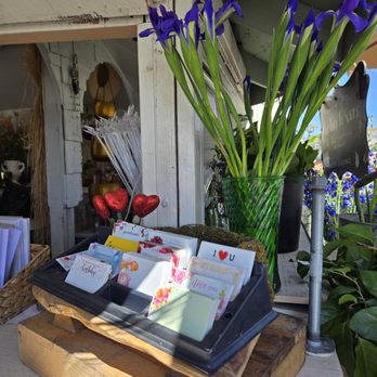 Bay Park Flowers - Florists Near Me - San Diego, California Bay Park Flowers - Florists Near Me - San Diego, California