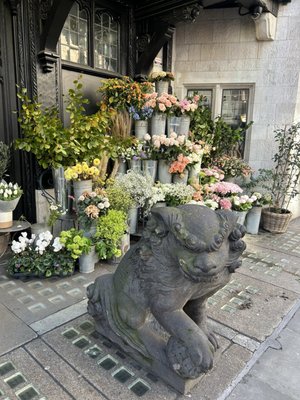 Liberty London by null