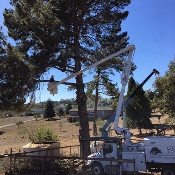 Sandborn Tree Service - Tree Services Near Me - Sebastopol, California
