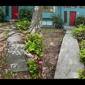 Thorough SoftWash - Pressure Washers Near Me Thorough SoftWash - Pressure Washers Near Me