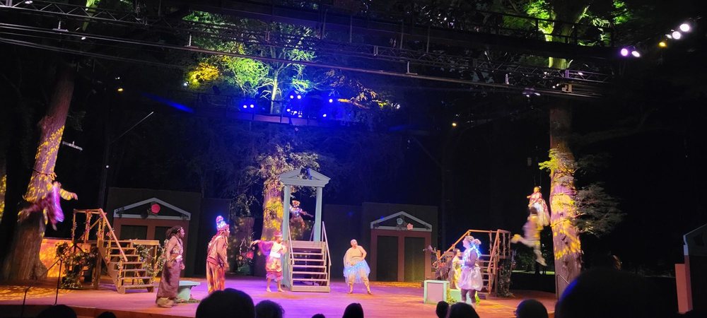 Shakespeare In The Park