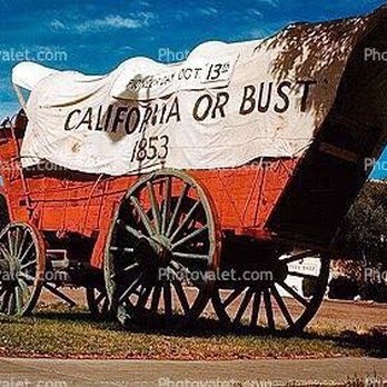 Sandi Pressley Team - Now I'm living the dream at the beach. - Real Estate Agents Near Me - Albuquerque, New Mexico