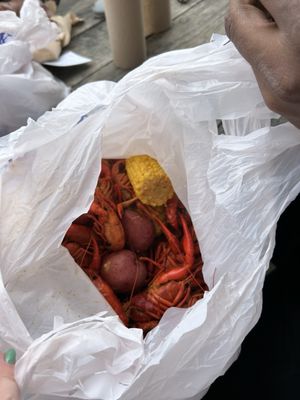 BOIL HOUSE by null