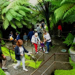 Vulcania - Jardin-volcanique