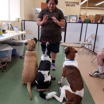 Petco - Kavita training three happy dogs! - Pet Groomers Near Me - Midlothian, Virginia