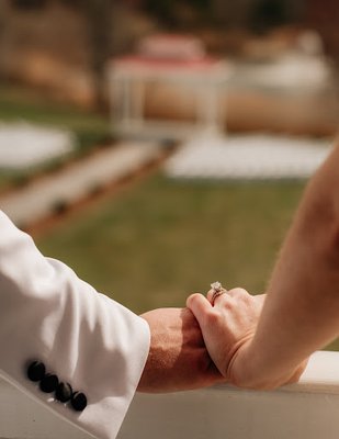 King Cole Farm by null