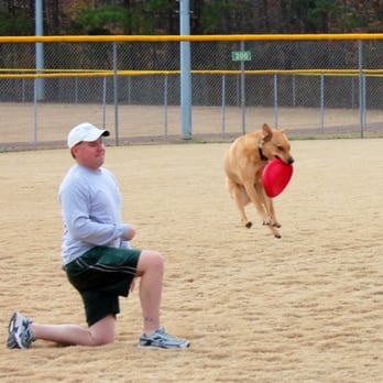 Uber Dog Training - He's got hops! - Pet Training Near Me Uber Dog Training - He's got hops! - Pet Training Near Me