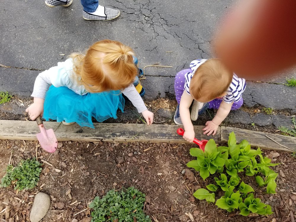 Little Stars Child care - childcare center in Falls Church, VA