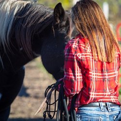 The Lead Mares of Indigo Trails, Stacey and Indy