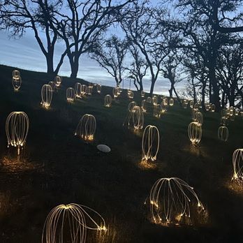 Sensorio - Art Galleries Near Me - Paso Robles, California