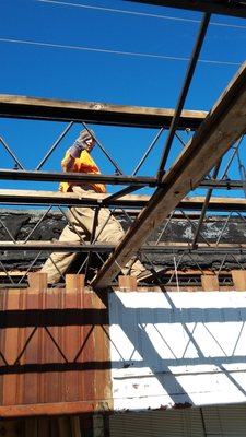 Allstar Services Logo