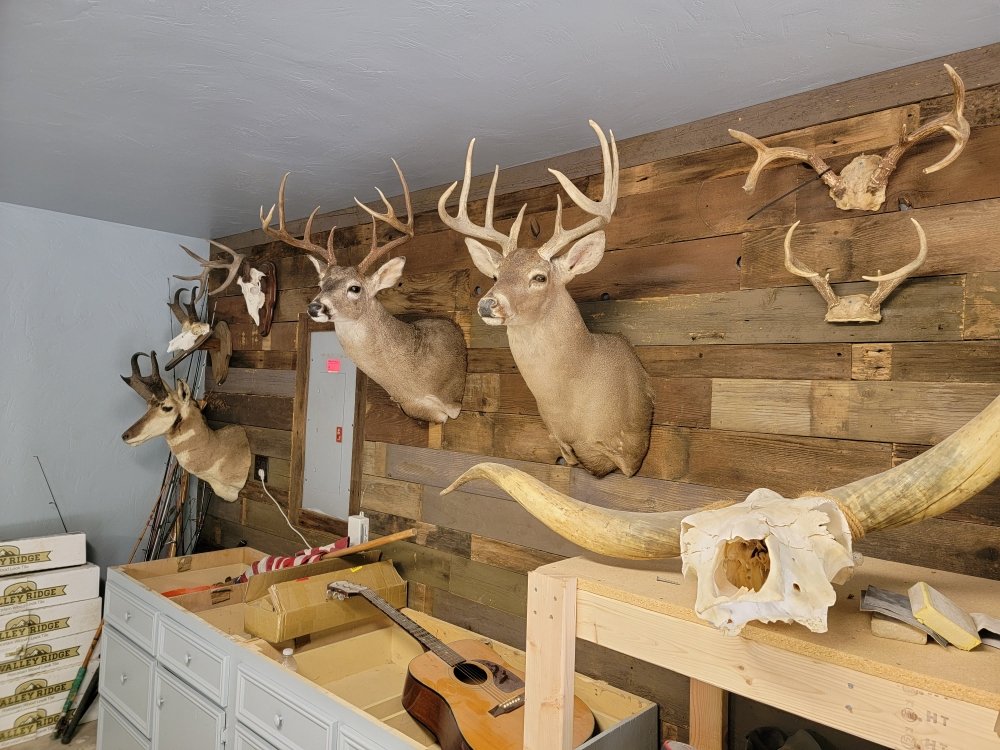 Slide of Doughty Remodeling