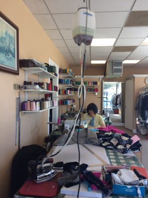 rose tailor & shoe repair