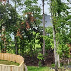 KO Tree Services