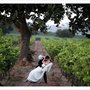 Photo of Sierra Wine Country Weddings