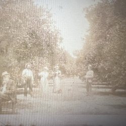Henry Shelton Sanford Grove and Experimental Gardens - Henry Sanford and family at Belair.