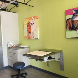 Advanced Veterinary Dentistry - Exam Room