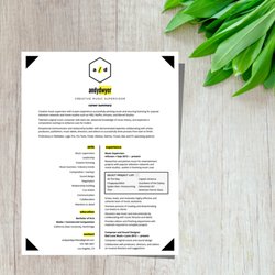 Resume By Nico - Resume for music supervisor