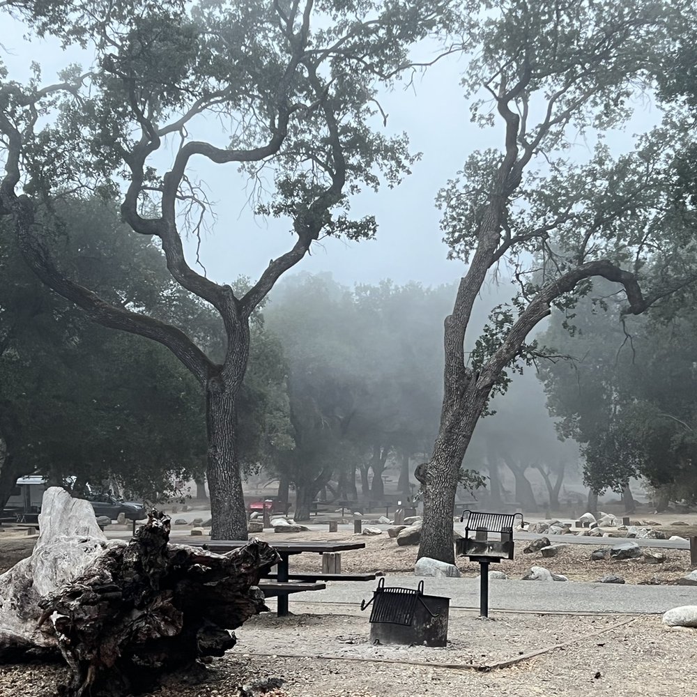 Arroyo Seco Campground - Quiet foggy morning - Campgrounds Near Me - Greenfield, California