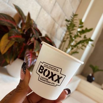 Boxx Coffee Roasters - Taste cup - Coffee Roasteries Near Me - Los Angeles, California