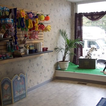 Doggie Styles Pet Grooming - Indoors - Pet Groomers Near Me - Shelton, Connecticut Doggie Styles Pet Grooming - Indoors - Pet Groomers Near Me - Shelton, Connecticut