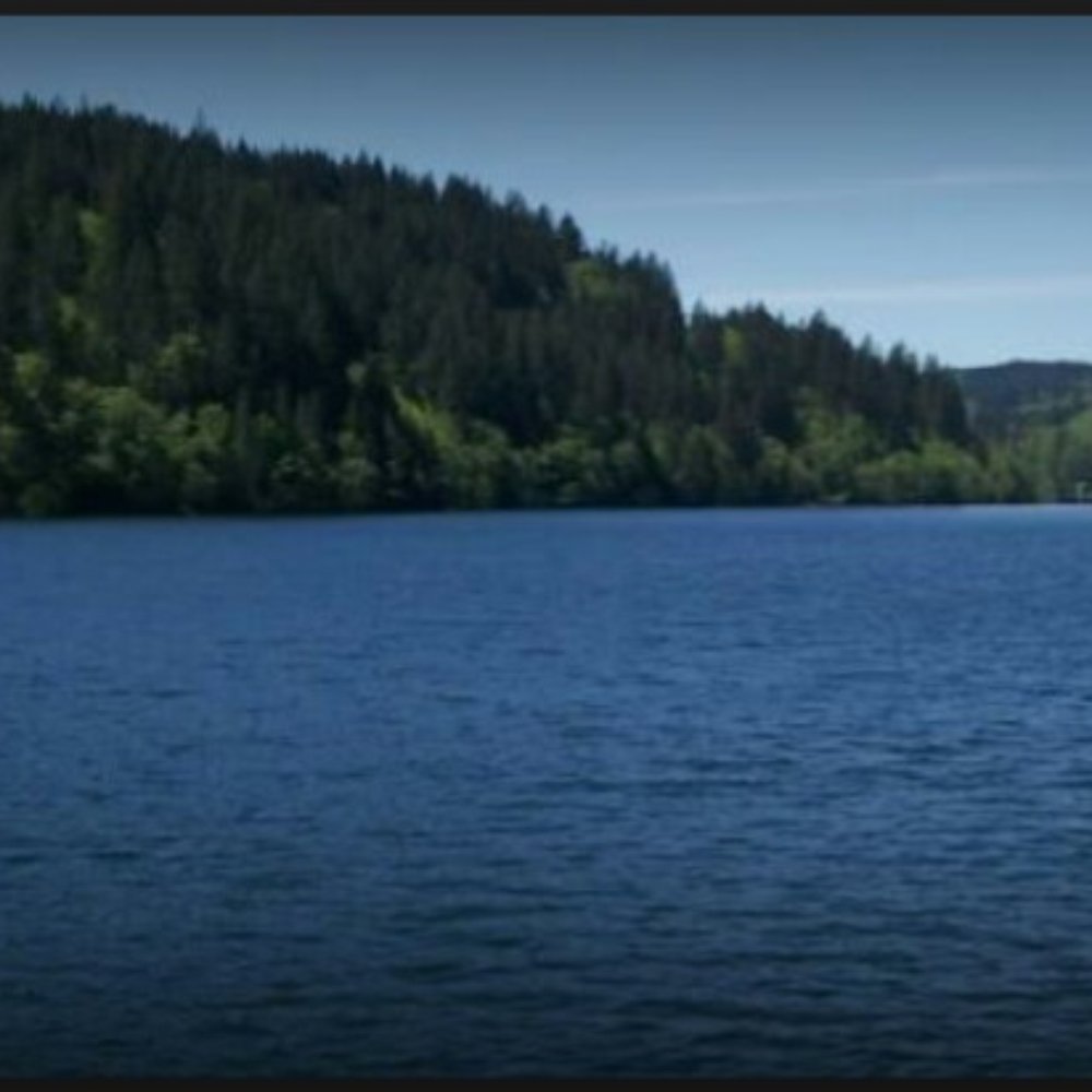 North Fork Reservoir - North Fork boat ramp and park. - Boating Near Me - Estacada, Oregon North Fork Reservoir - North Fork boat ramp and park. - Boating Near Me - Estacada, Oregon