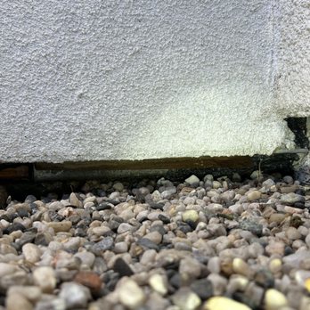 Tri Valley Pest Control - Before installation of rodent enclosure. - Pest Control Near Me