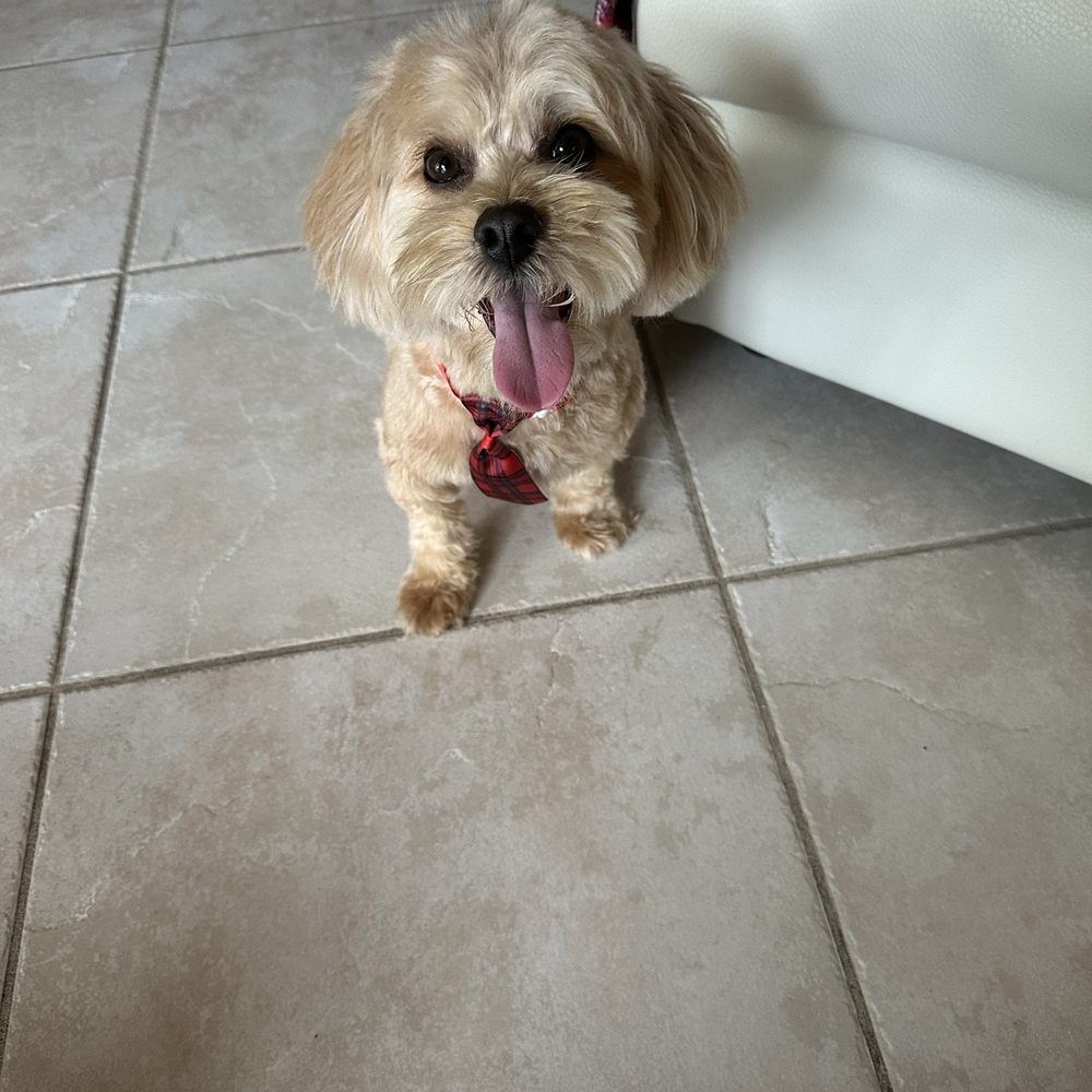 Jake's Pet Supply - Louis Vuitton loves the FROMM's wet food - Pet Stores Near Me - Lake Worth, Florida Jake's Pet Supply - Louis Vuitton loves the FROMM's wet food - Pet Stores Near Me - Lake Worth, Florida