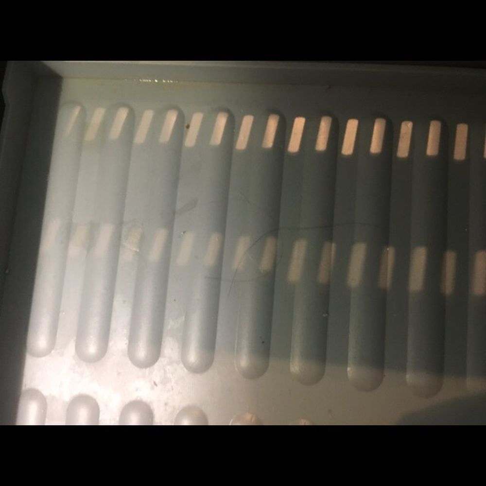 Sandbar - Opal Sands - Random hair in the freezer - Resorts Near Me - Clearwater Beach, Florida Sandbar - Opal Sands - Random hair in the freezer - Resorts Near Me - Clearwater Beach, Florida
