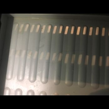 Opal Sands - Random hair in the freezer - Resorts Near Me - Clearwater Beach, Florida Opal Sands - Random hair in the freezer - Resorts Near Me - Clearwater Beach, Florida