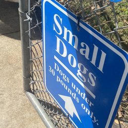 small dogs! small dogs!
