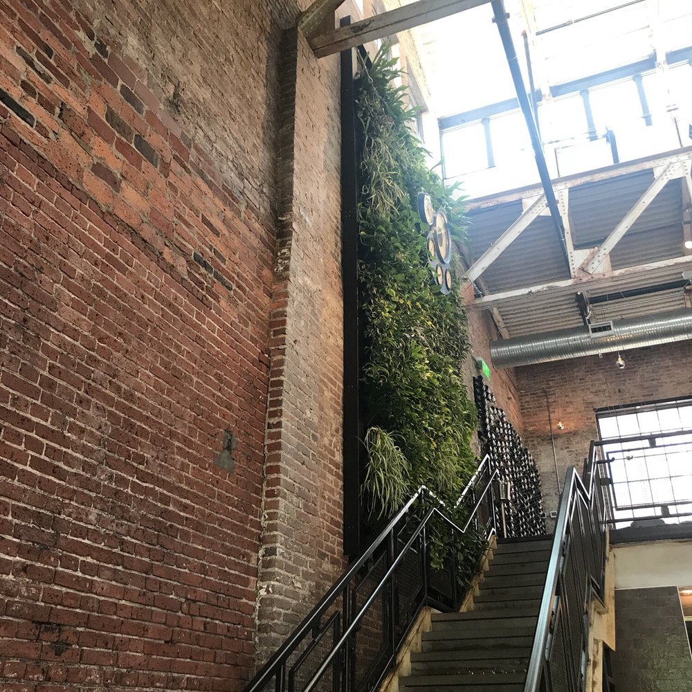 Gunther & Co - Living wall - Seafood Near Me - Baltimore, Maryland Gunther & Co - Living wall - Seafood Near Me - Baltimore, Maryland