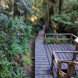 Rainforest  Trail A & B