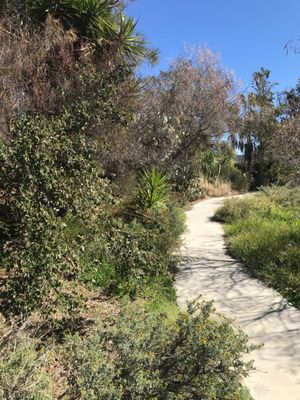 CSUN Botanic Garden 18111 Nordhoff St Northridge, CA Botanical ...