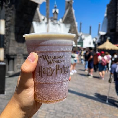 The Wizarding World of Harry Potter by null