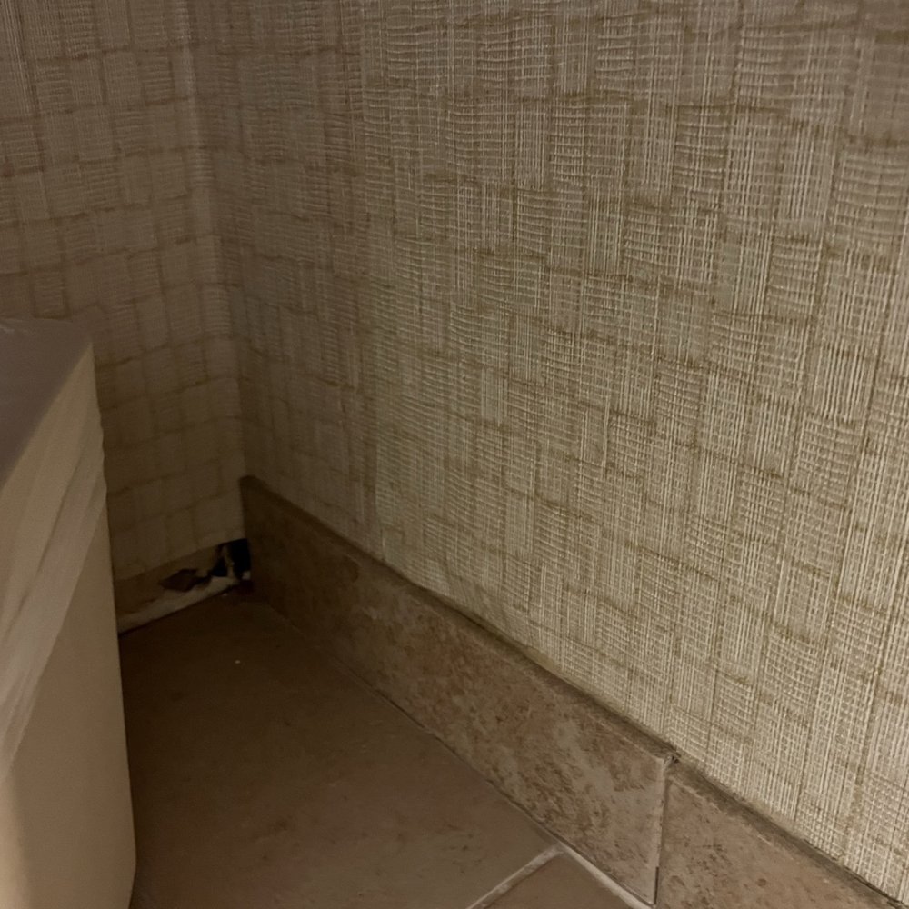 A perfect little mouse sized hole with missing tile A perfect little mouse sized hole with missing tile