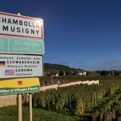 Le Chambolle Musigny - Sign