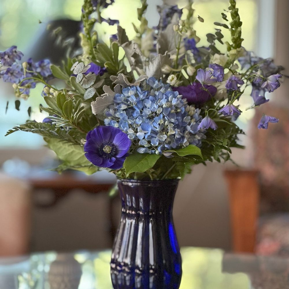 WildFlower Stem + Sundry - Birthday florals! - Florists Near Me - Arnold, Maryland WildFlower Stem + Sundry - Birthday florals! - Florists Near Me - Arnold, Maryland
