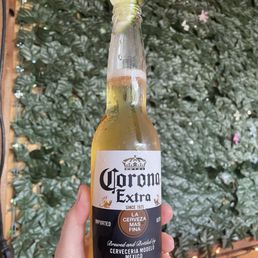 $3 corona & trivia on Tuesdays! $3 corona & trivia on Tuesdays!
