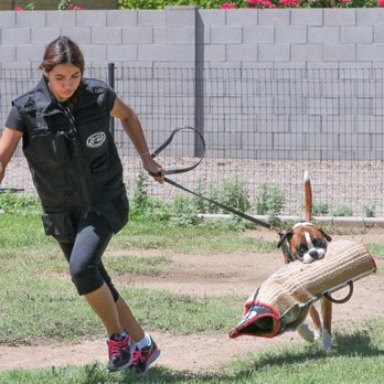 Proving Ground Kennels - Pet Training Near Me Proving Ground Kennels - Pet Training Near Me