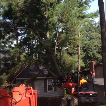 North Raleigh Tree Service - Tree Services Near Me North Raleigh Tree Service - Tree Services Near Me